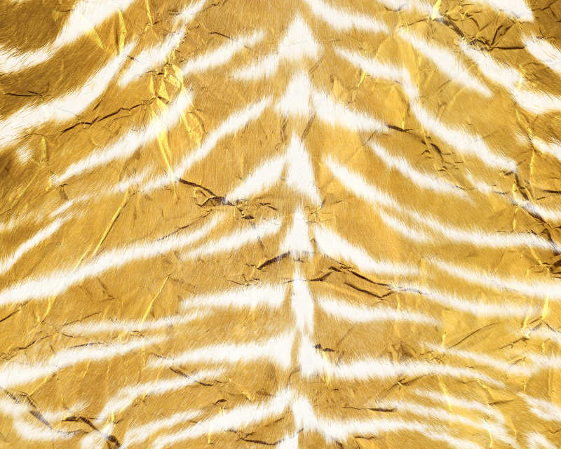 金色鱼骨状纹理
