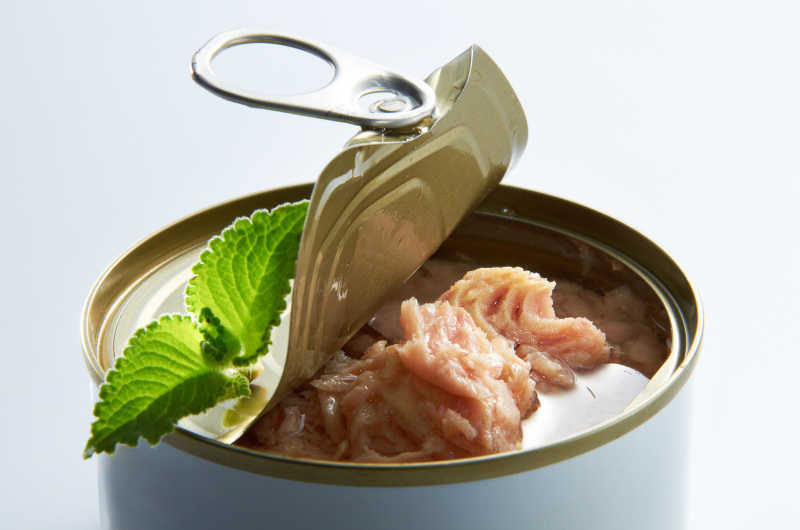 金枪鱼罐头