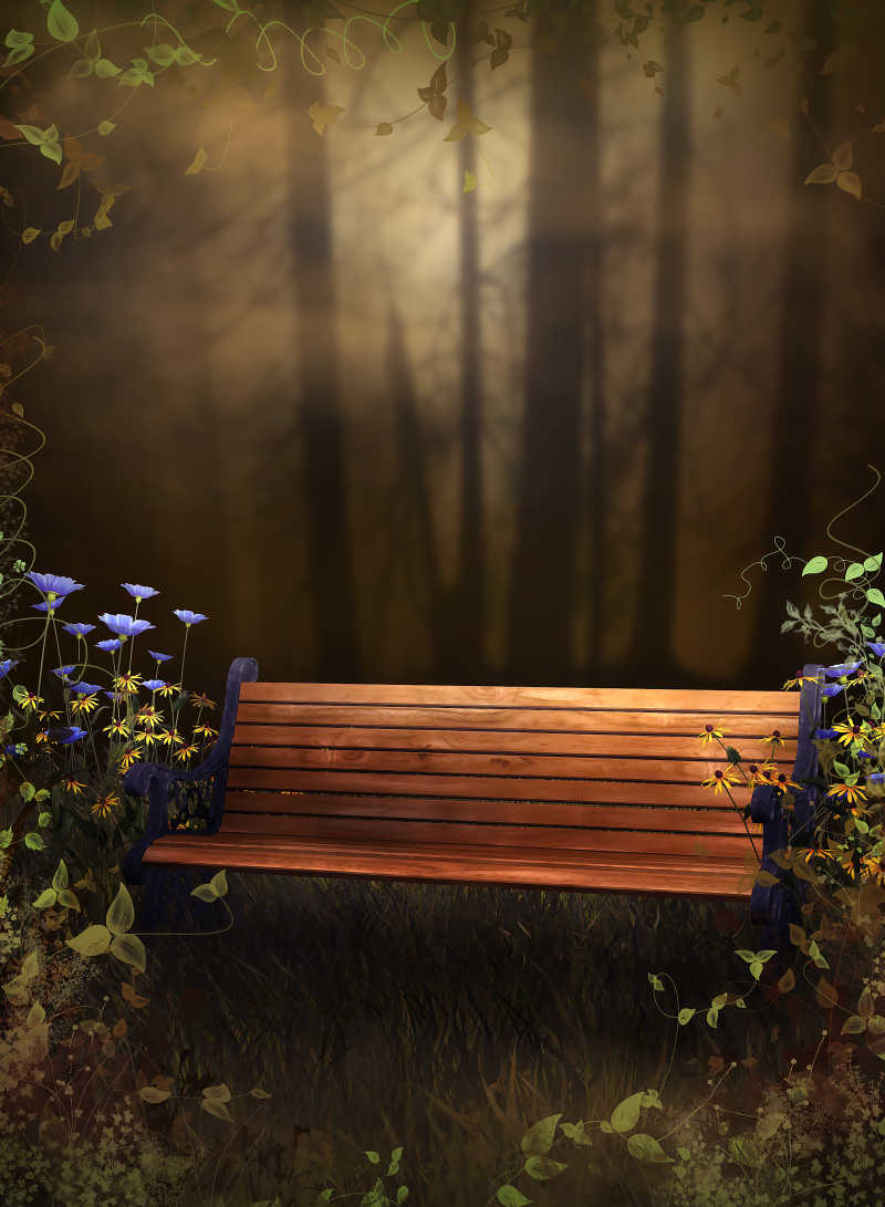 幽深森林里的长凳