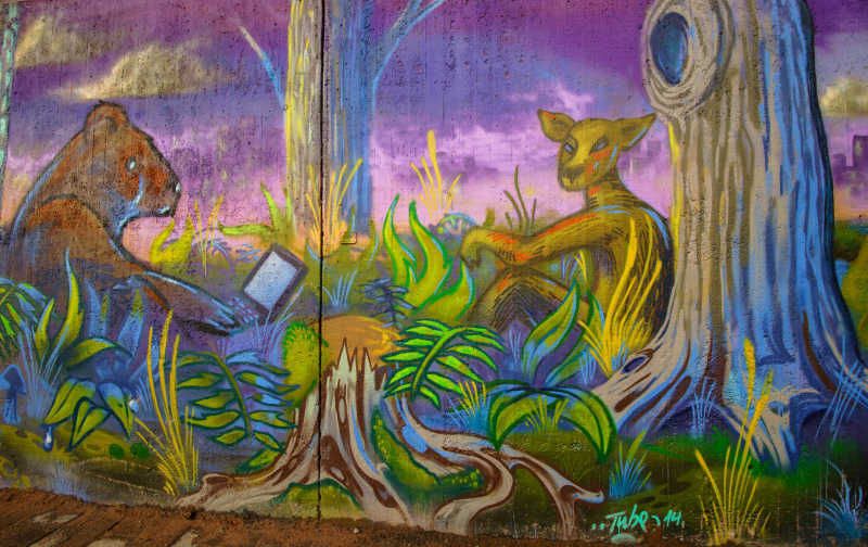 墙壁上动物的涂鸦