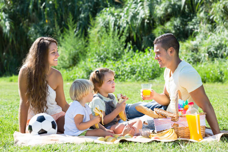 在公园草地上开心野餐的四口之家