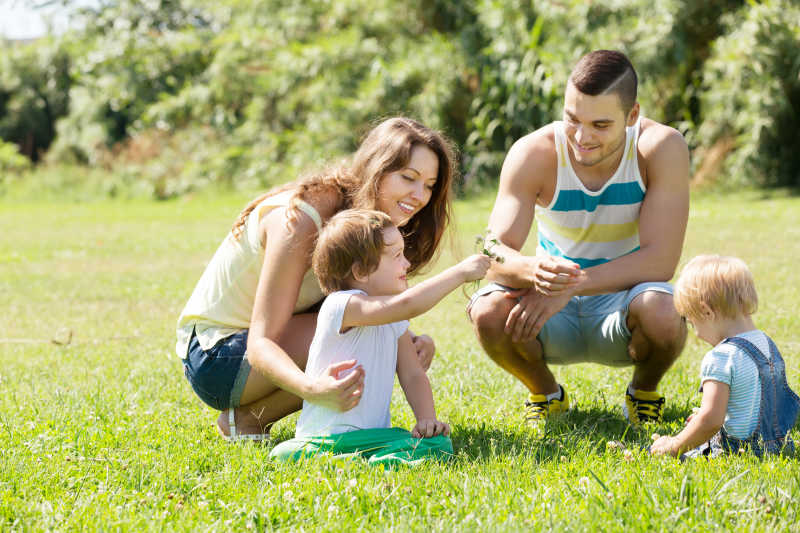 草地上玩耍的一家四口
