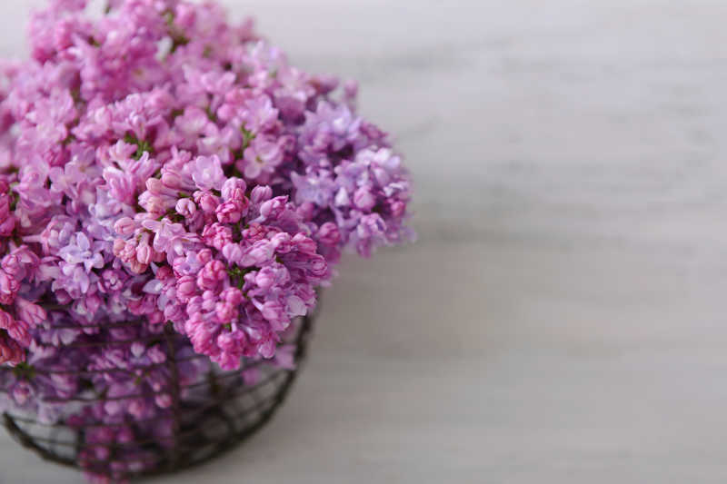 模糊背景中的紫红色花束