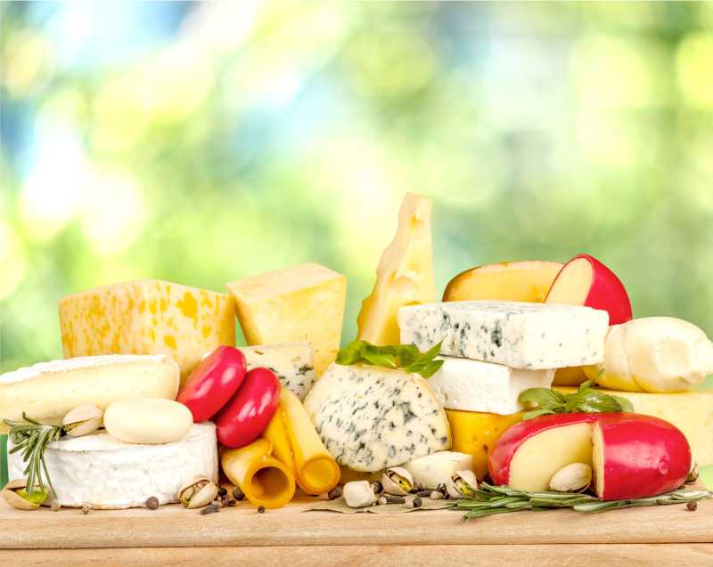 各种美味的乳酪在阳光下