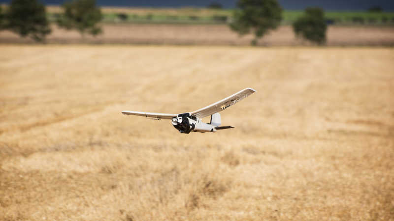 金黄色麦田背景下正在空中飞行的遥控模型飞机
