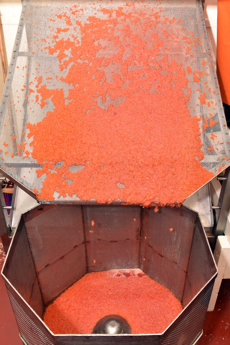 三文鱼鱼子酱的研制