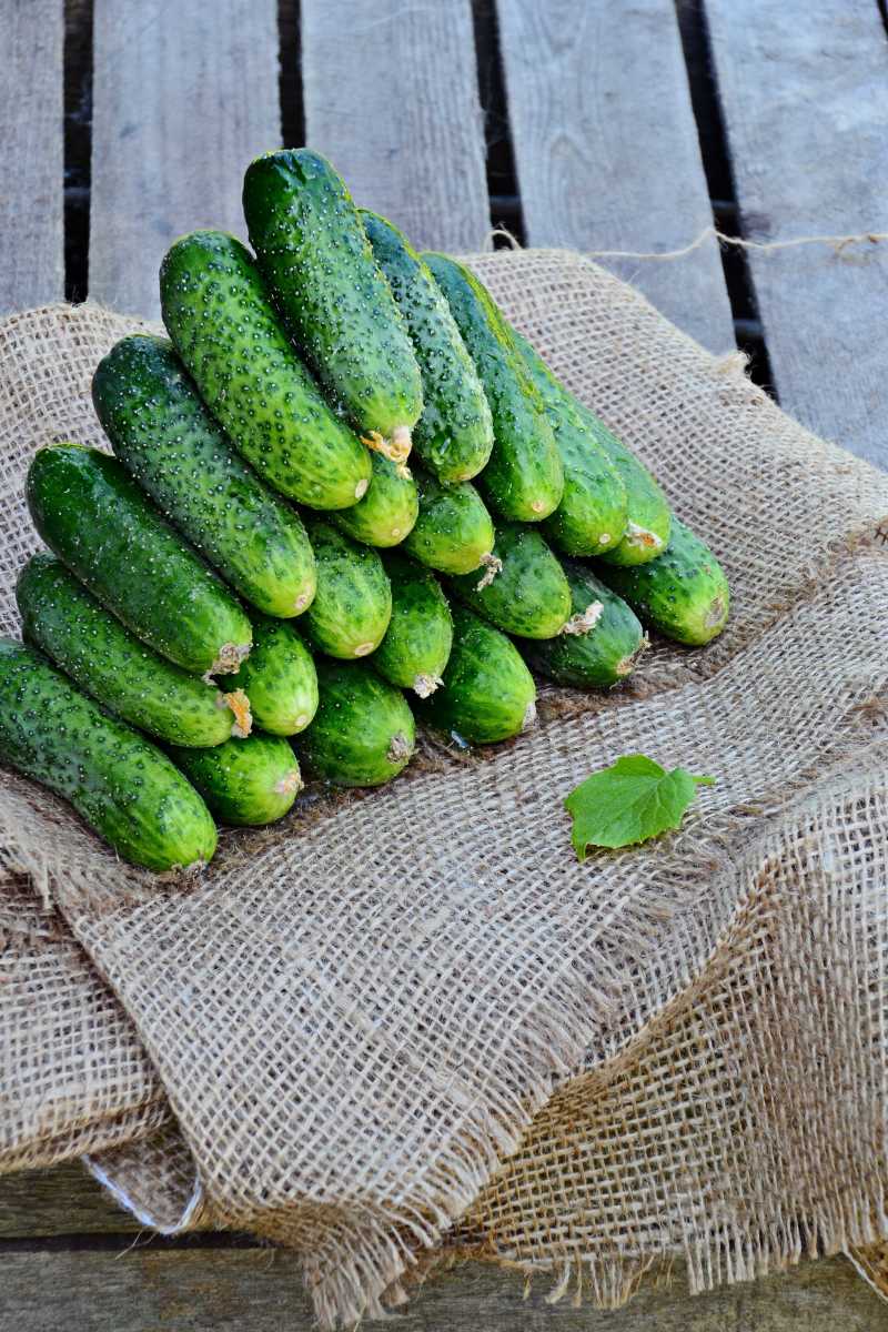 案板上出售的新鲜黄瓜