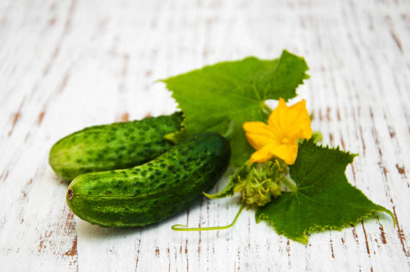 木制桌上刚采摘的新鲜黄瓜