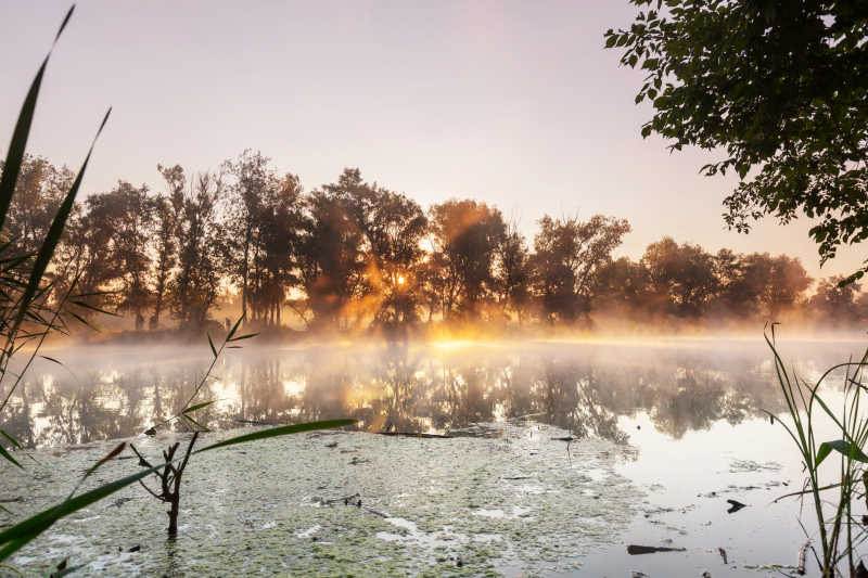 清晨河上的薄雾