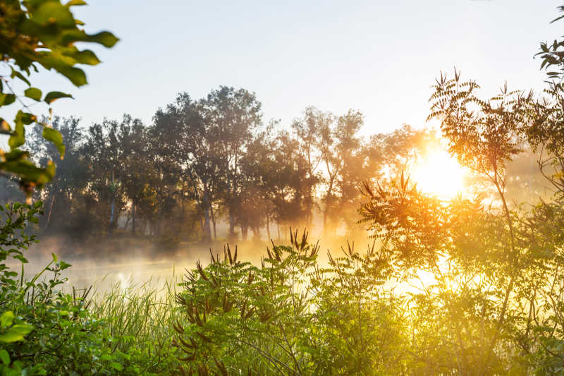 清晨湖面上的薄雾