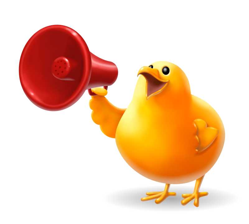 白色背景下拿着红色喇叭的小黄鸡插图