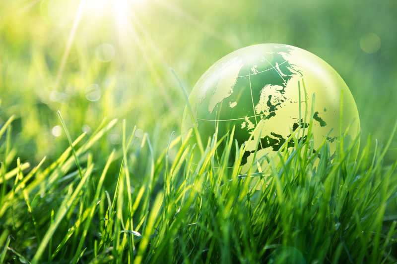 绿色草地上的保护地球生态概念玻璃球