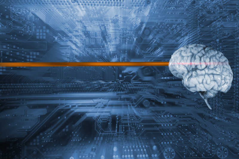 接受信息的人类大脑