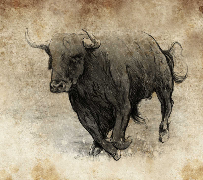 公牛的数字绘画