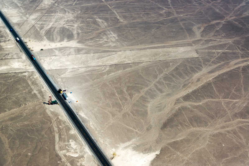 秘鲁的纳斯卡地画树