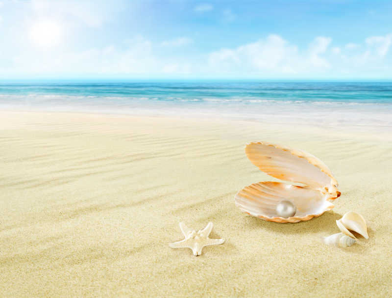 海滩上的珍珠和贝壳