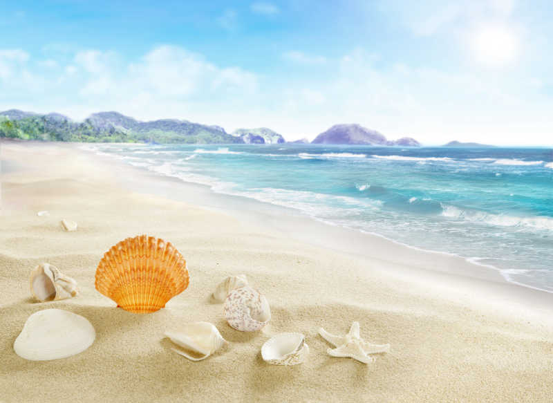 海滩贝壳图片唯美意境图片