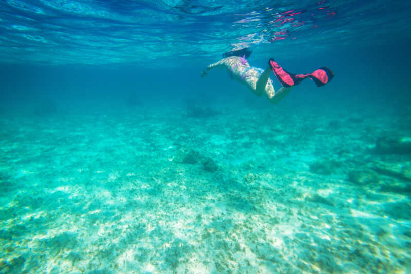 美丽的女人在海洋浮潜