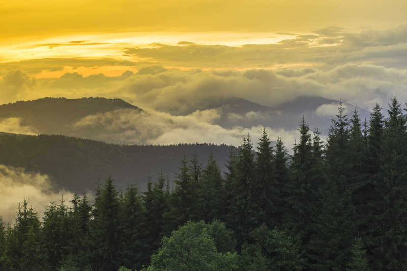 山谷中美丽的日落