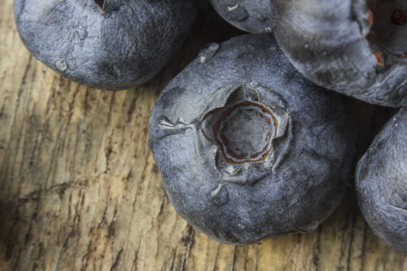 花园木桌上的新鲜蓝莓