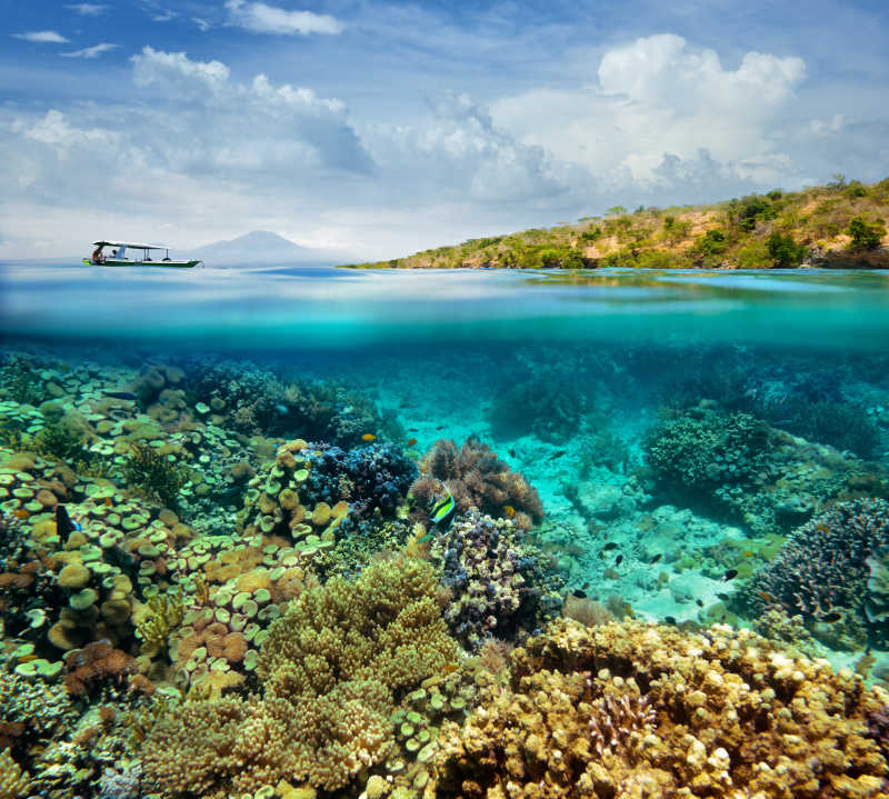 印度尼西亚美丽的珊瑚礁岛