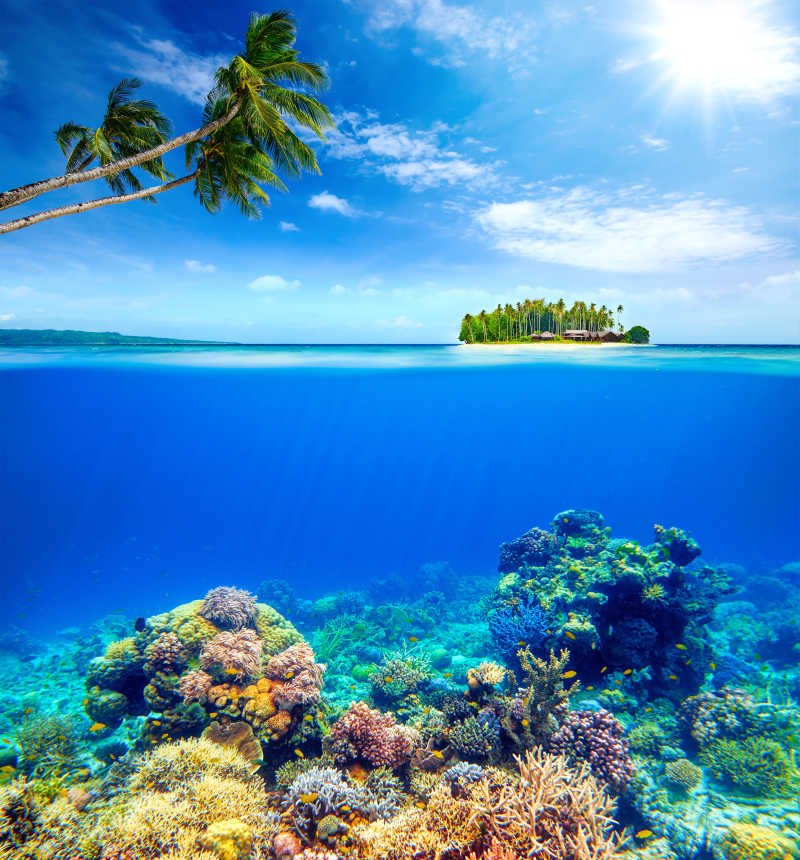 印度尼西亚美丽的珊瑚礁岛