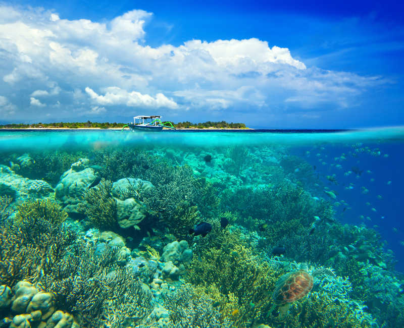 珊瑚礁环绕的美丽小岛