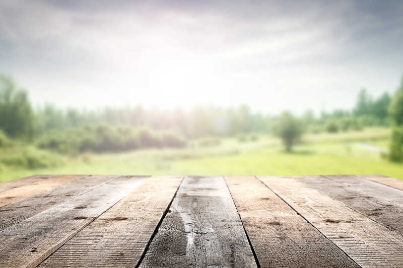 绿色树林背景前的书桌