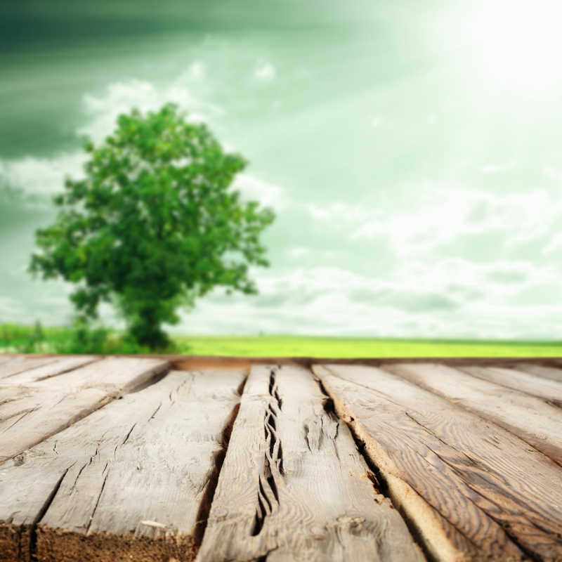 绿色草坪上的树背景前的老旧木桌