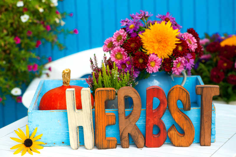 美丽的插花摆放