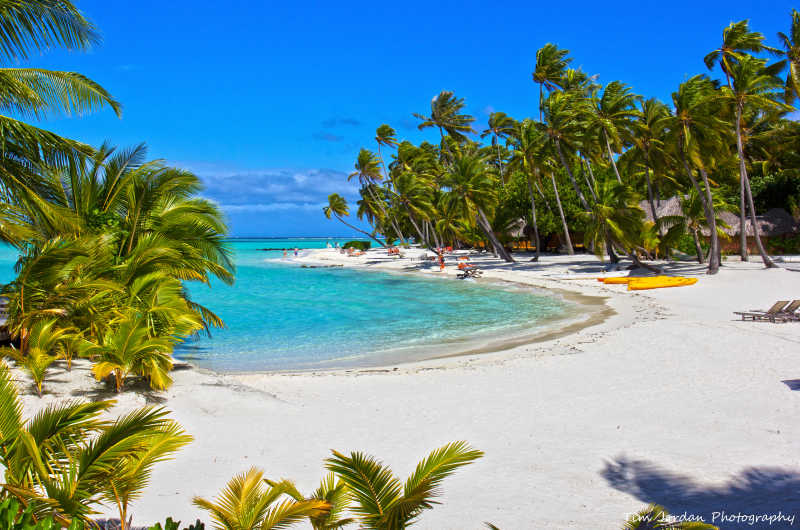 长满椰树的美丽的热带海滩