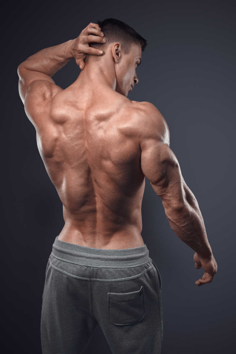 英俊的健壮男子的后背