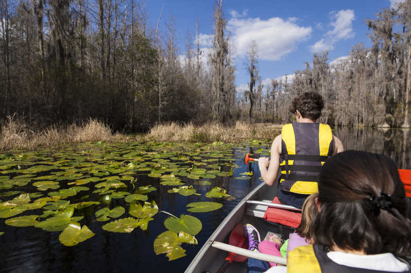 通过家庭canoing奥克弗诺基