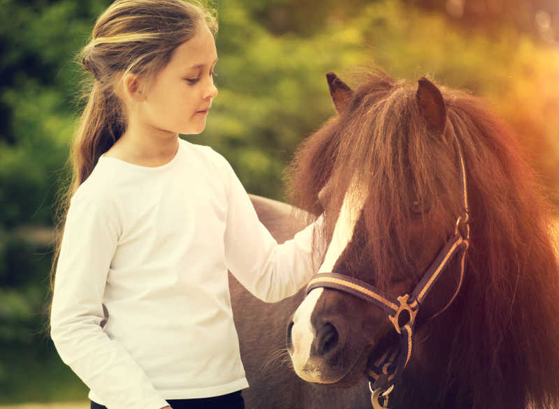 在户外抚摸马的小女孩