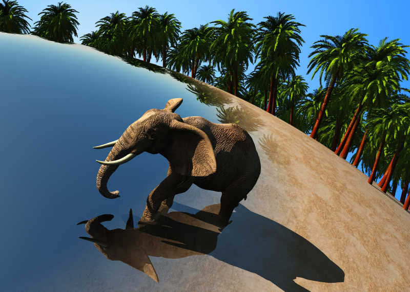 走在陆地上的大象