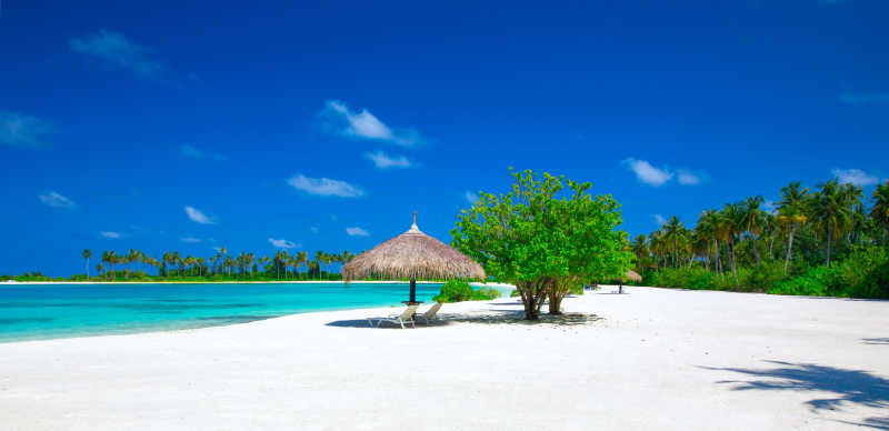 马尔代夫美丽的海滩