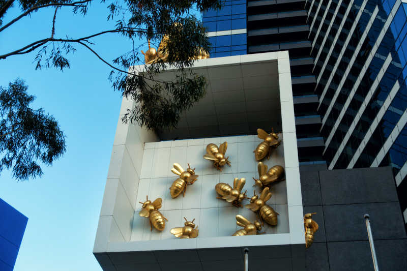 澳大利亚独特的建筑