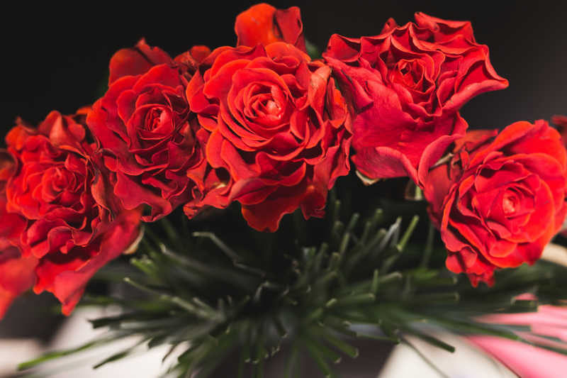 红色的花束图片 色彩鲜艳的红色花束素材 高清图片 摄影照片 寻图免费打包下载