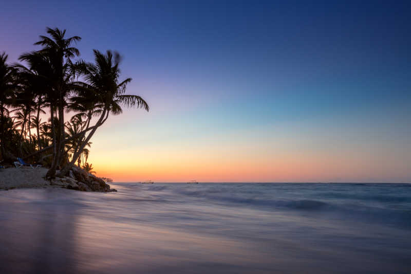 热带岛屿上的棕榈树日出