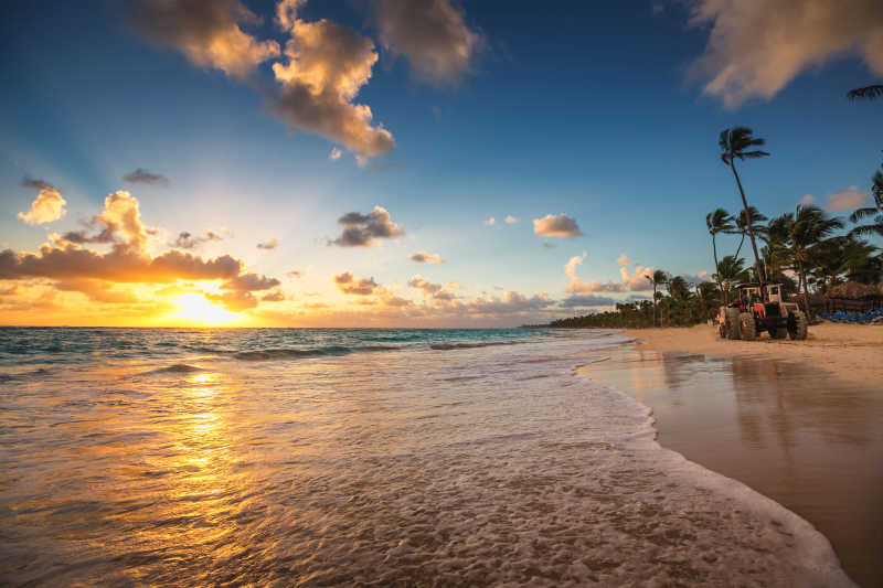 日出棕榈树沙滩