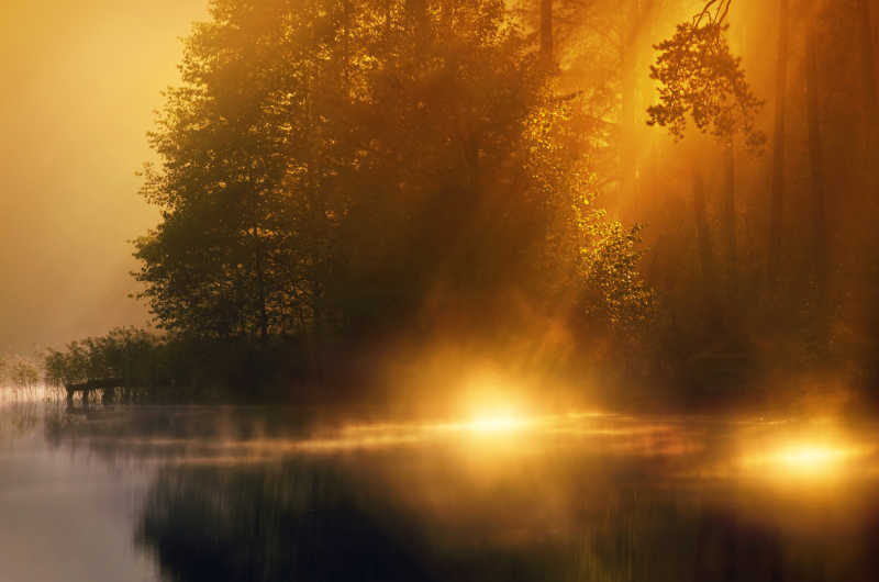 雾湖中的阳光