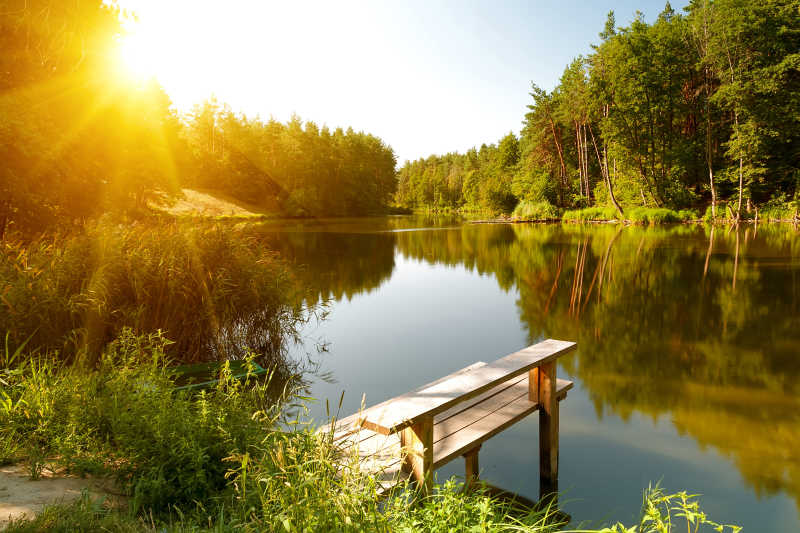 森林湖泊夏季景观
