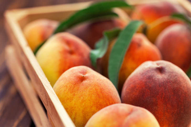 木蓝里的新鲜黄桃