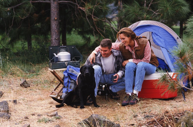 快乐的家庭与篝火旁的狗