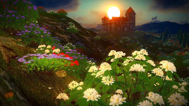 城堡外漂亮的花丛