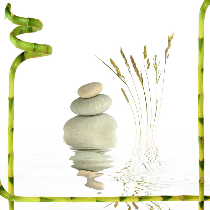 水中的石头和草