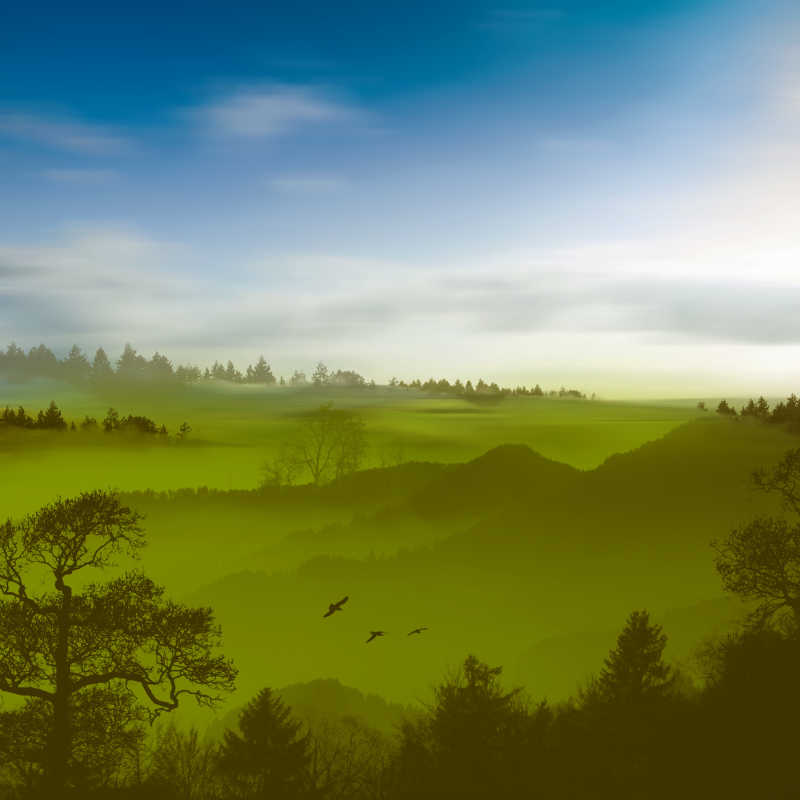 美丽的绿色山丘