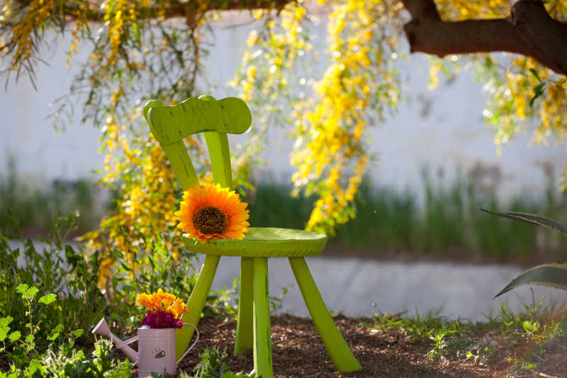 柳树下的小木椅和向日葵