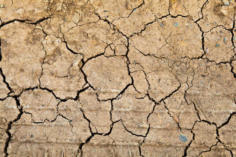 干旱土地上的裂缝