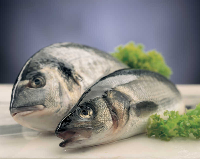 两条新鲜的食材鱼